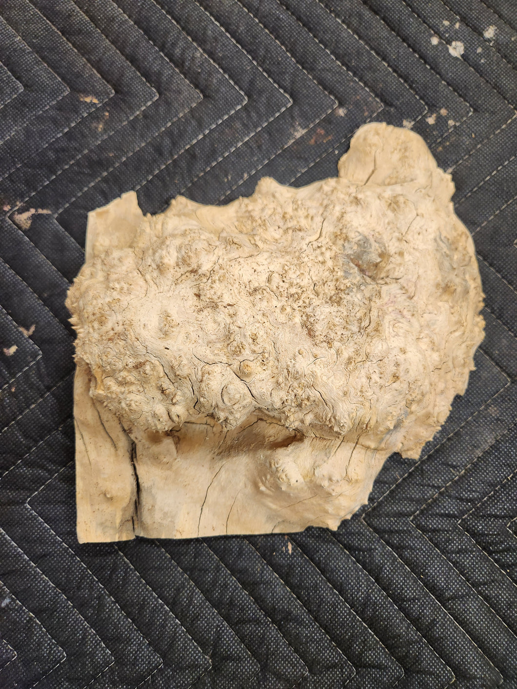 Box elder Burl cap