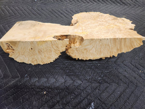 Box elder Burl cap