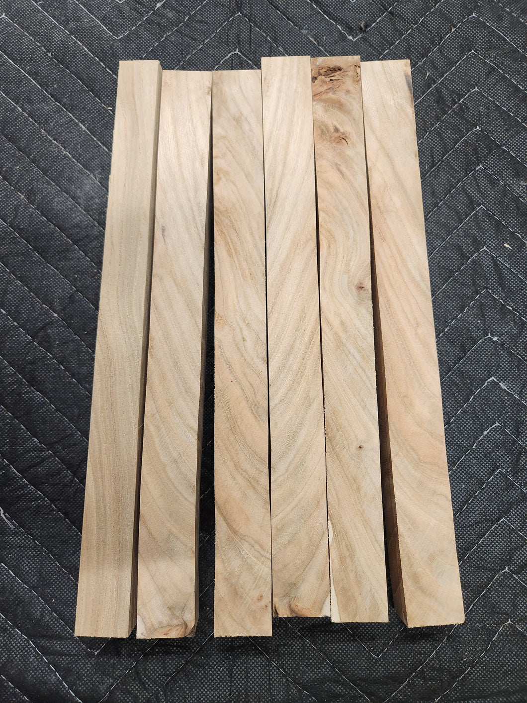 Red Elm