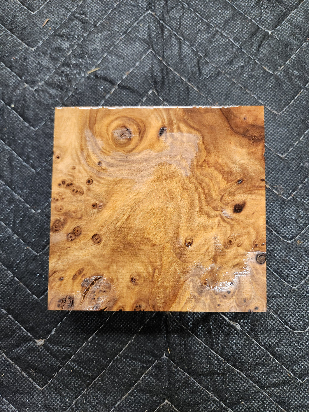 Red Elm Burl Turkey Pot