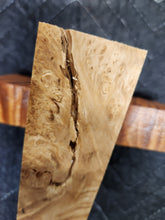 Box elder Burl