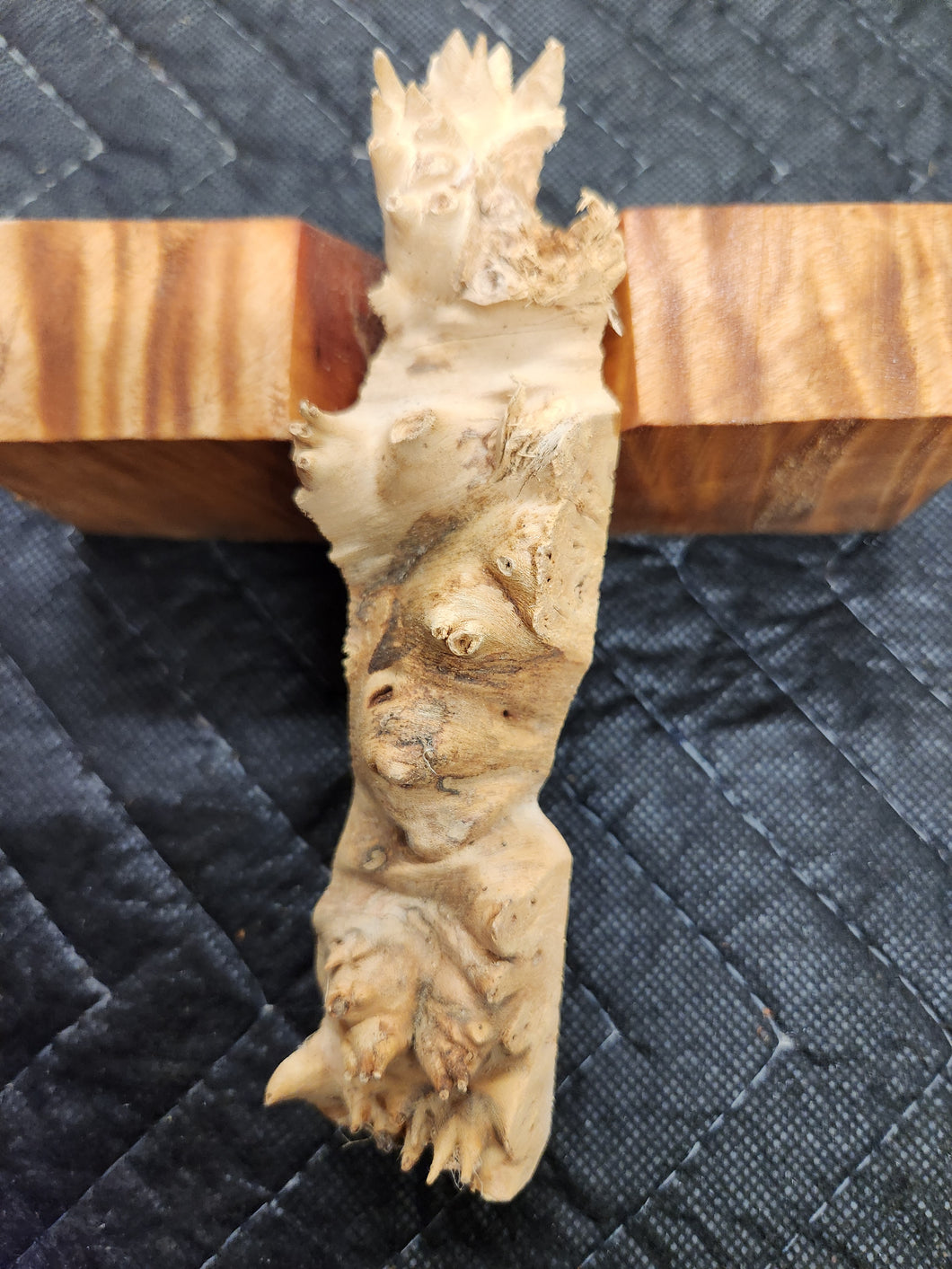 Casting Red Elm burl