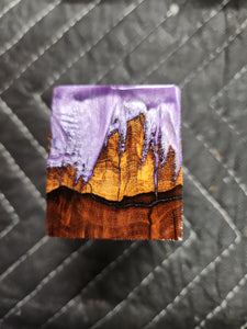 Desert ironwood bottlestopper