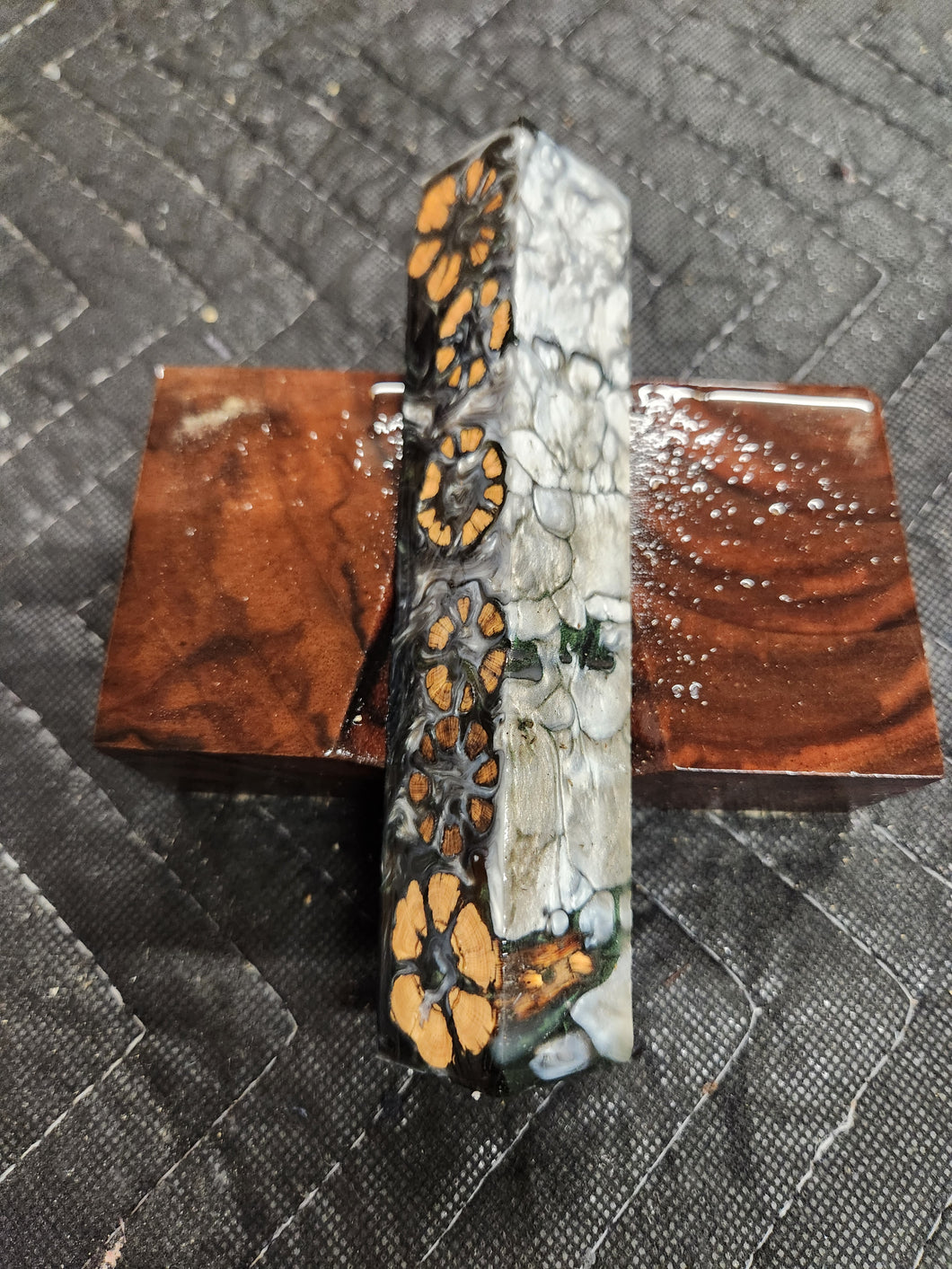 Cholla cactus hybrid pen blank