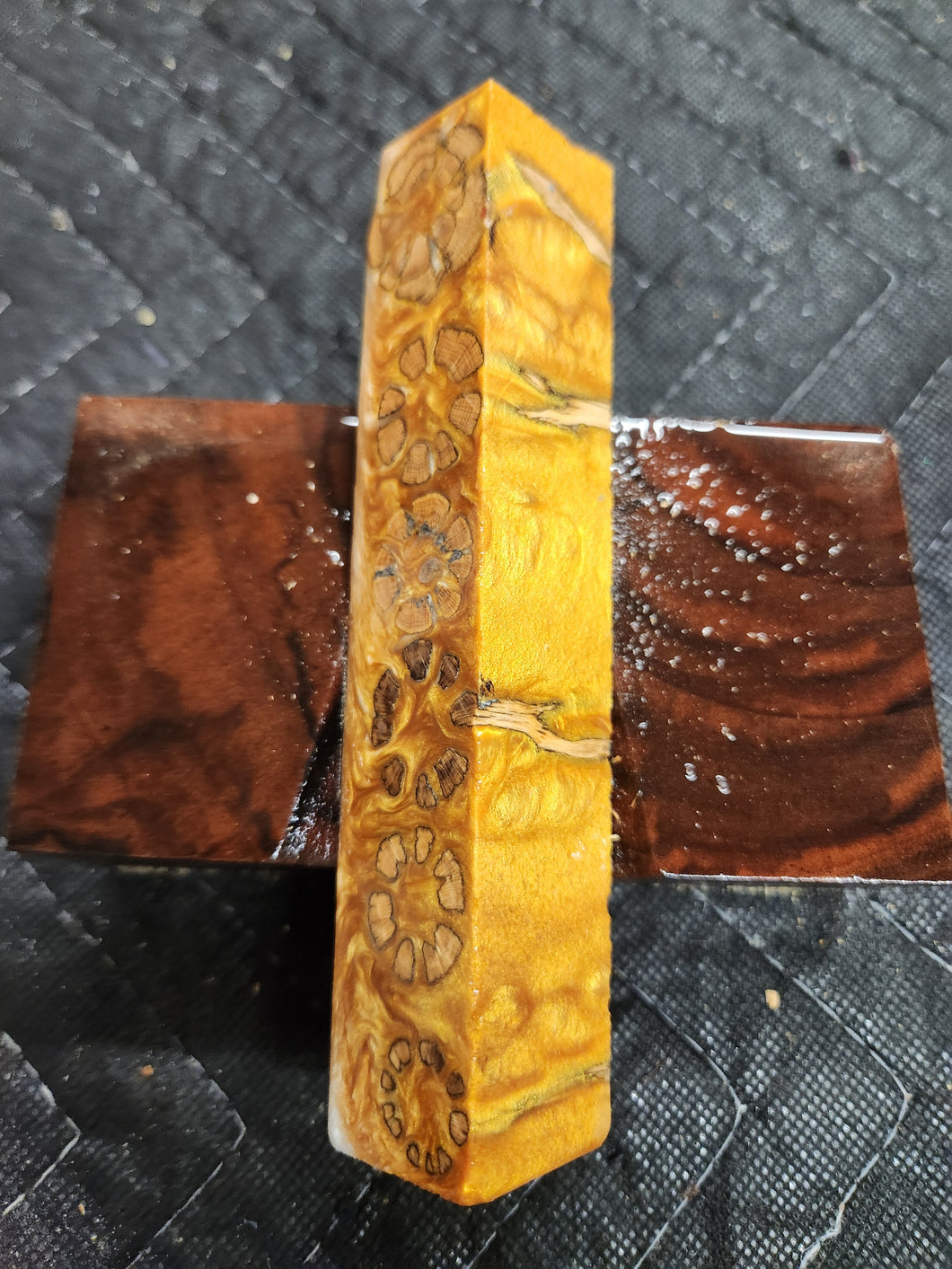 Cholla cactus hybrid pen blank