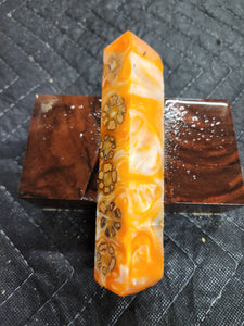 Cholla cactus hybrid pen blank