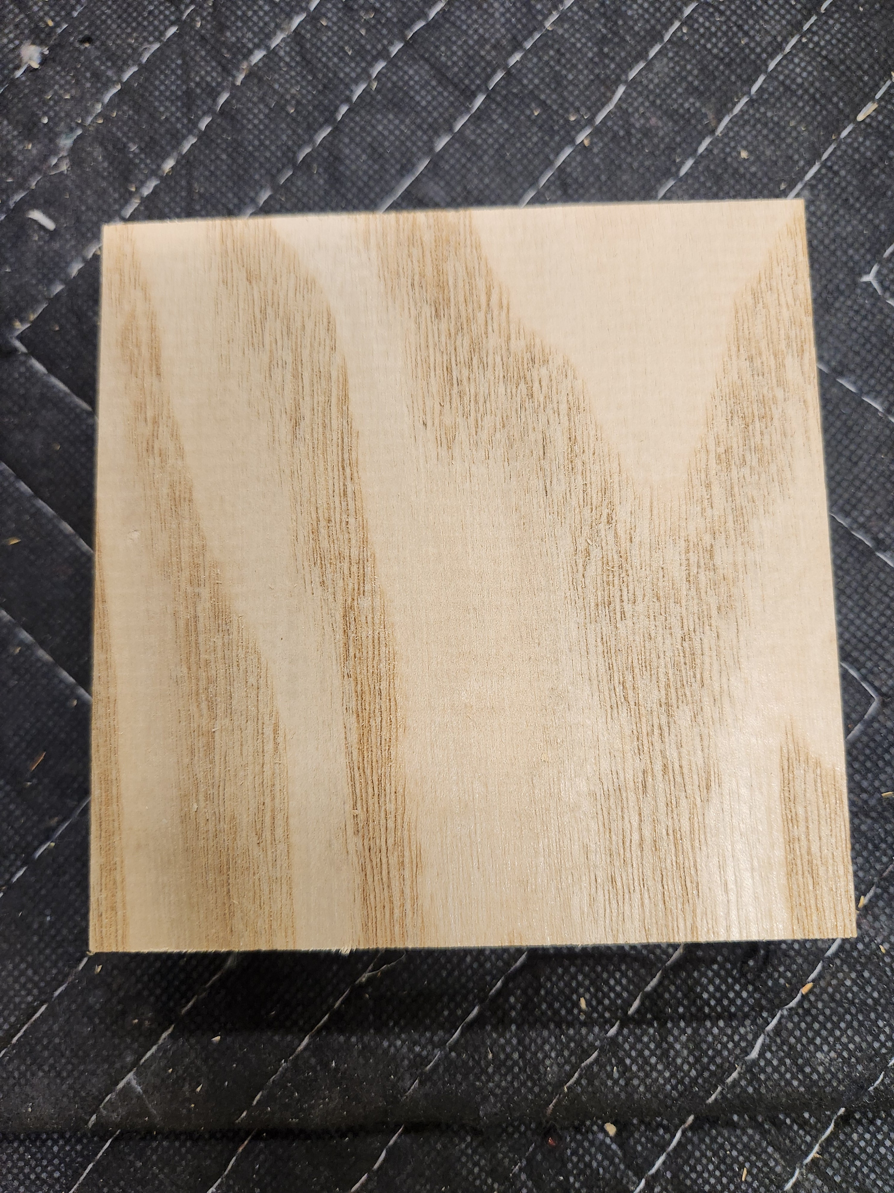 sassa--nページ Sassafras