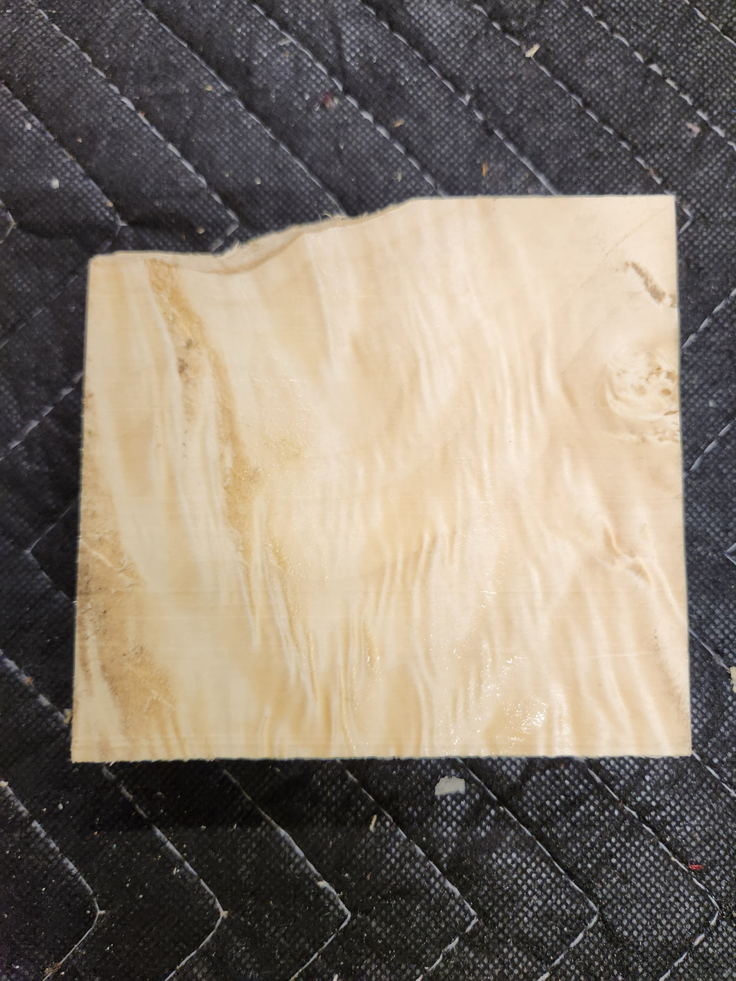 Box Elder Burl Turkey Pot
