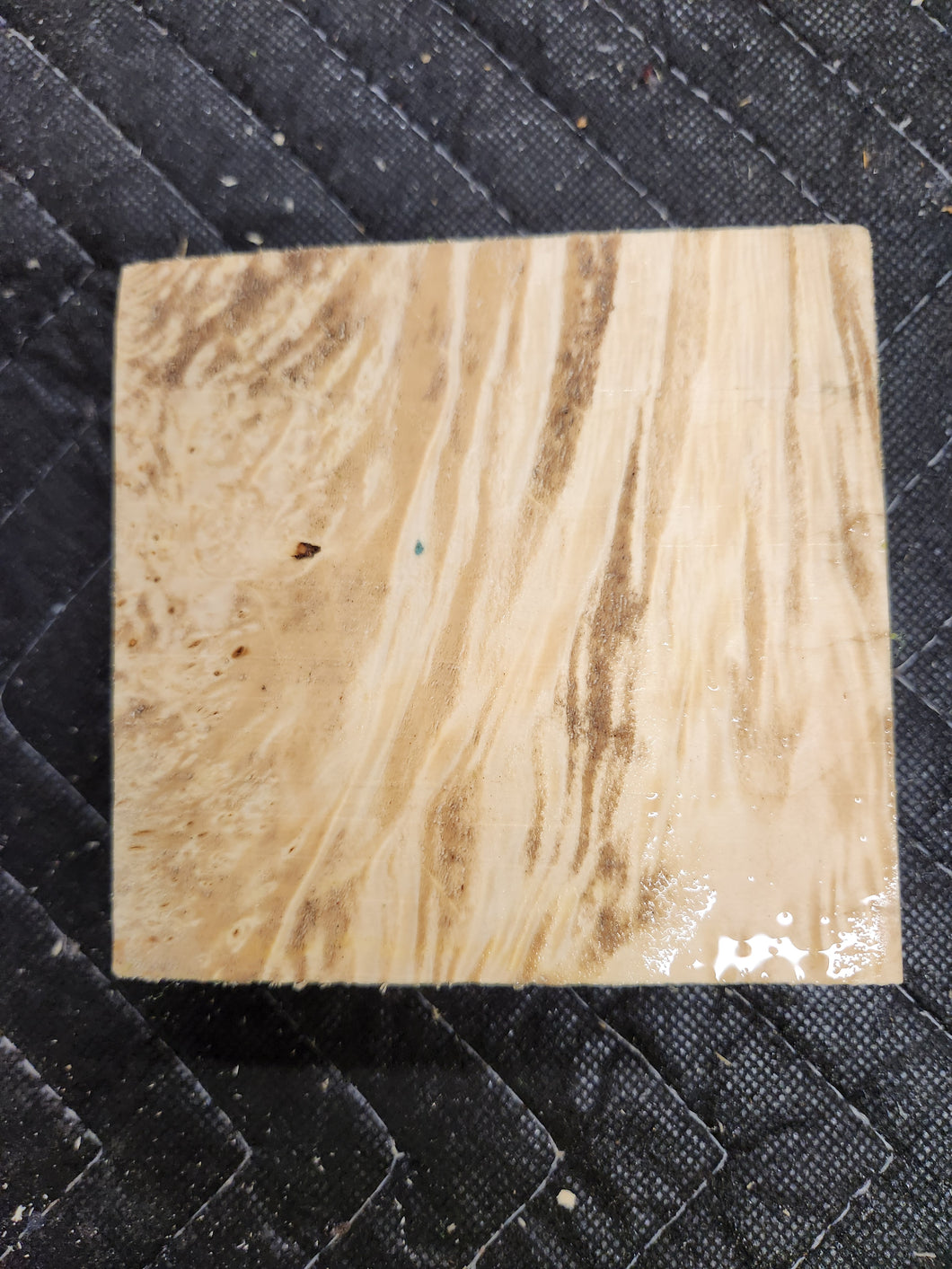 Box Elder Burl Turkey Pot