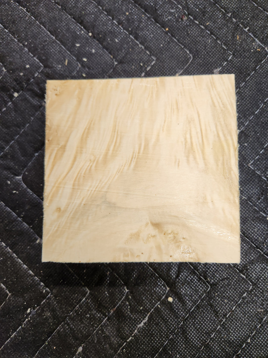 Box Elder Burl Turkey Pot