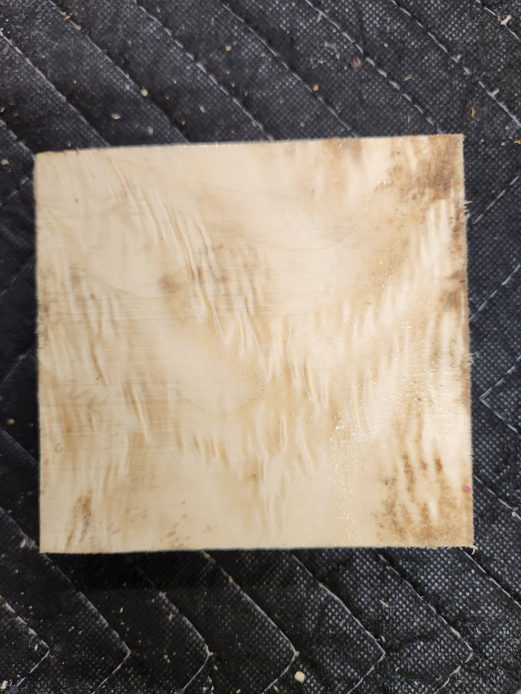 Box Elder Burl Turkey Pot