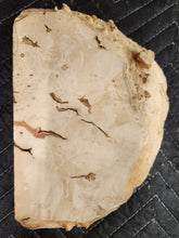 Burl Cap Box Elder