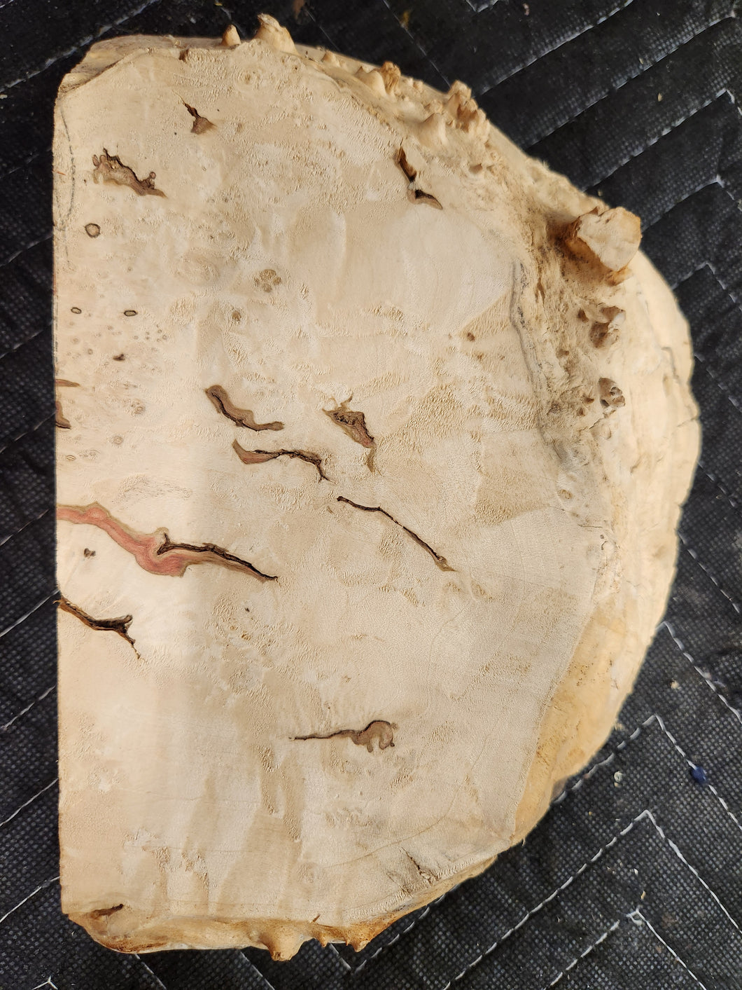 Burl Cap Box Elder