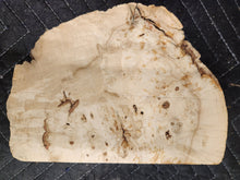 Burl Cap Box Elder