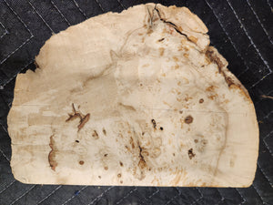 Burl Cap Box Elder
