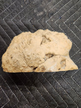 Burl Cap Box Elder