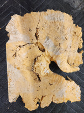 Burl Cap Box Elder