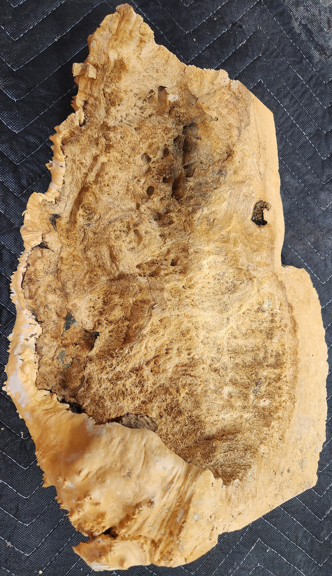 Burl Cap Box Elder