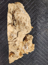 Burl Cap Box Elder