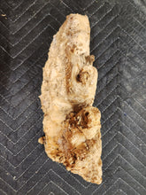 Burl Cap Box Elder