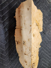 Burl Cap Box Elder