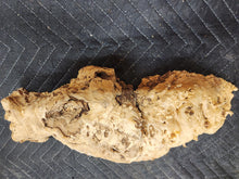 Burl Cap Box Elder