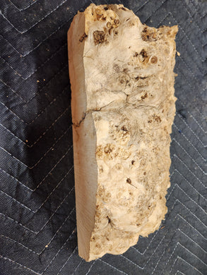 Burl Cap Box Elder