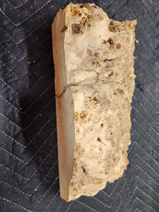 Burl Cap Box Elder