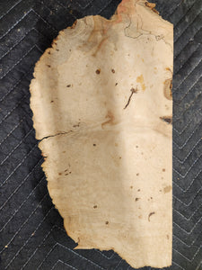 Burl Cap Box Elder