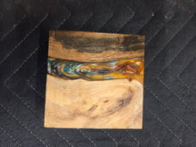 Indian Rosewood Turkey Pot Hybrid