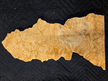 Box Elder Burl Cap