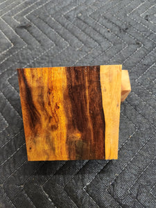 Desert Ironwood Turkey Pot
