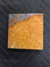 Brown Mallee Turkey Pot Hybrid