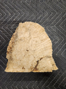 Box Elder Slab
