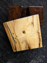 Hybrid Horse Chestnut Turkey Pot