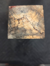 Tamarind