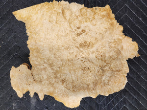Box Elder Burl Cap