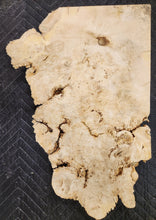 Box Elder Burl Slab