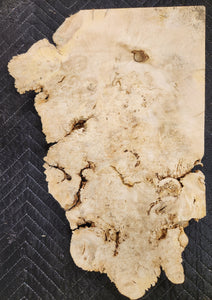 Box Elder Burl Slab
