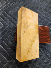 Horse Chestnut Curly Knife Scale