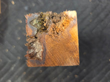 Yew