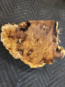 Russian olive burl cap