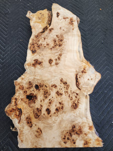 Poplar burl slab