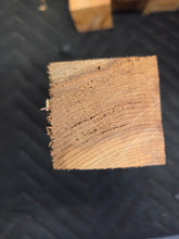 Yew