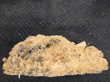Box Elder Burl cap
