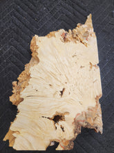 Box elder burl slab