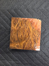 York Gum Burl Turkey Pot
