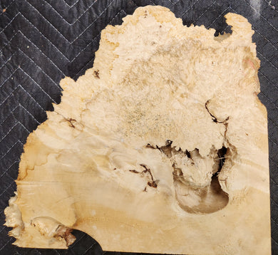 Box Elder Burl Slab