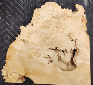 Box Elder Burl Slab