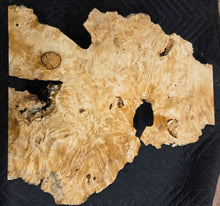 Box Elder Burl Cap